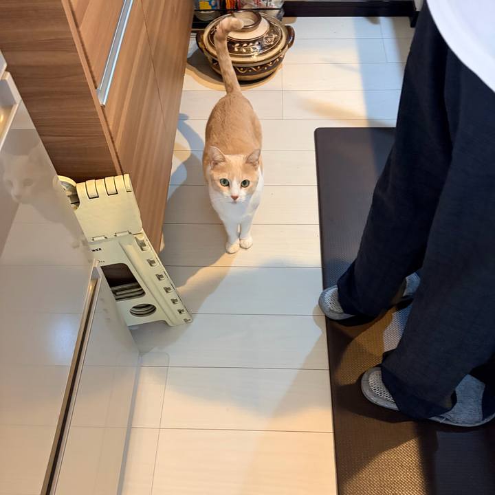 727be5ed 8918 4c16 85c5 14201a5d8059 1767159904541