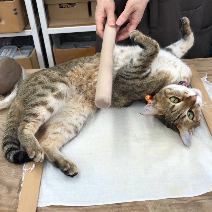 727bf742 e851 4cff 9127 ee89655d3812 1657124438391