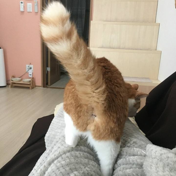 727c3842 07ff 4127 9232 4b9bb14bde8d 1530710744861