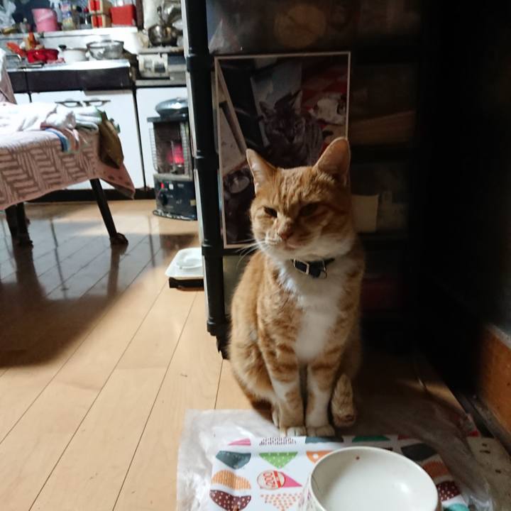 727c38d6 95d6 4a2b a250 12877ecddeb8 1605210600588