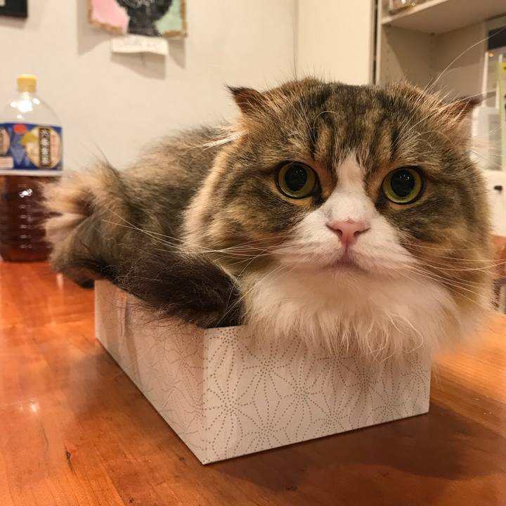 727c4b6a 99d9 4aea 85fa 90f6b4908e39 1528720273541