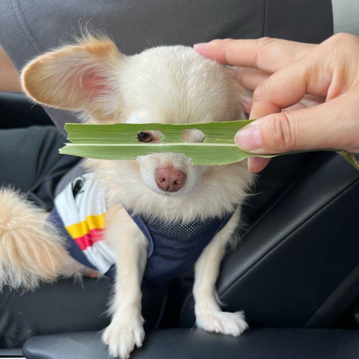 727c4e7f f612 4df6 8032 e2ab613c2505 1727498214701