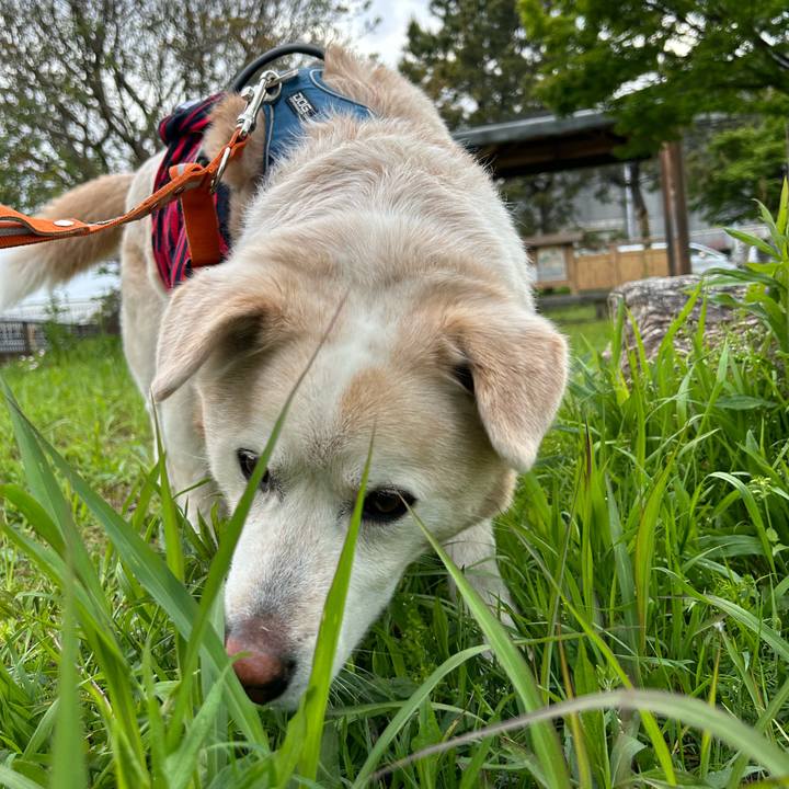 727c6696 d706 4c01 853e d1a753abaf78 1713613150064