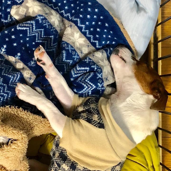 727c94b6 df4f 414f 9904 ddf883372a91 1545044389474