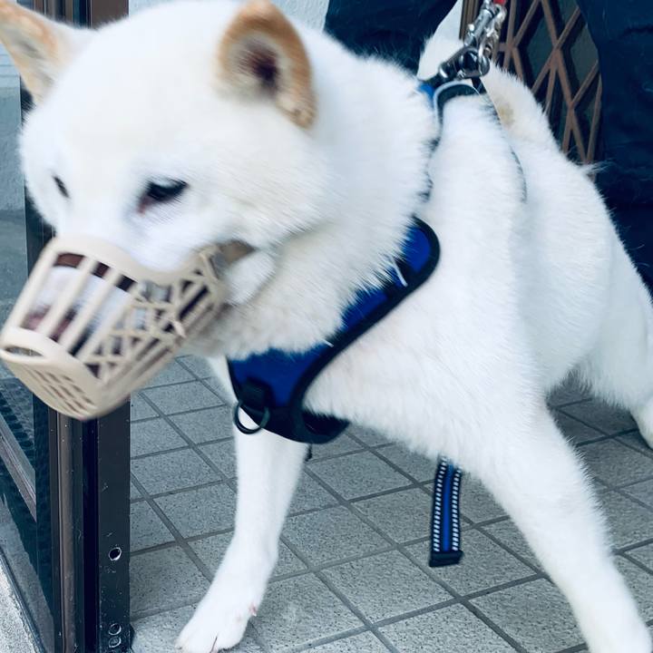 727cd104 998c 4ee0 a644 74bf289f59df 1621373580717