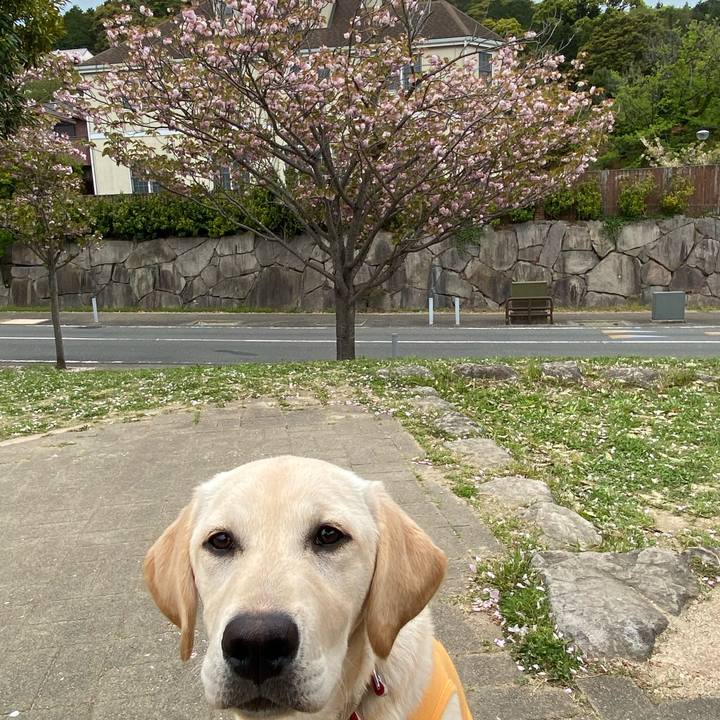 727cdd9f fb65 4e9e 845b f00c8ff840a4 1618407040973