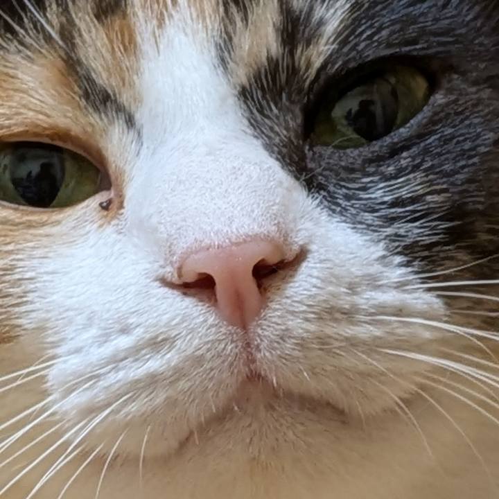 727d14c9 c0c7 4694 95f7 2ea195f6fdb9 1762514251066