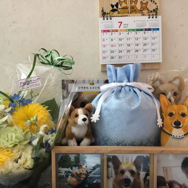 727d2daa ab64 43f3 8c8b 93b5e5fcae55 1530419847828