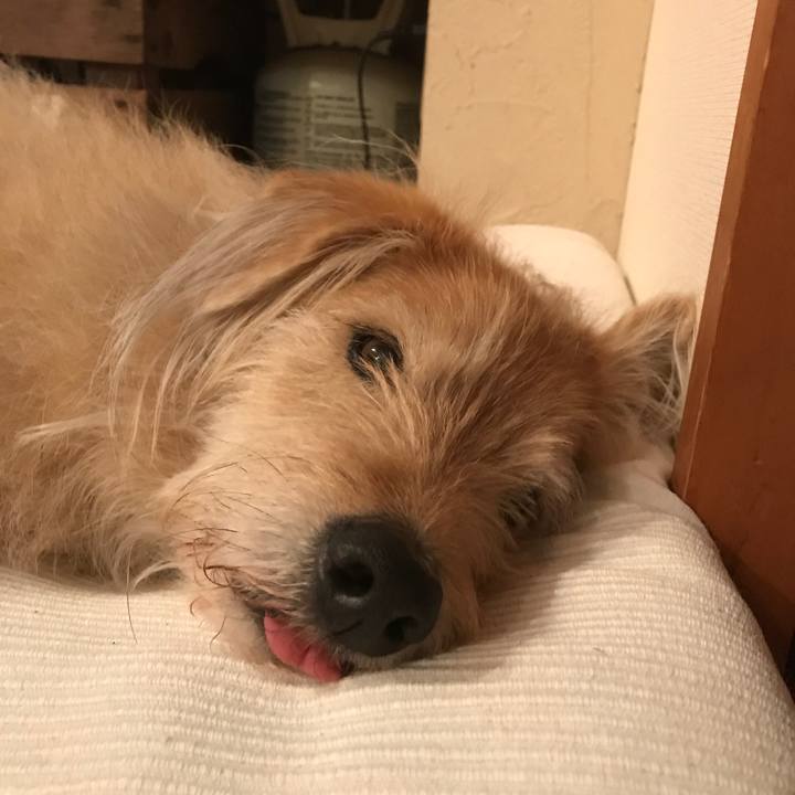 727d3c5b 5fe0 4425 9e6b a4f625d7f301 1552366443660