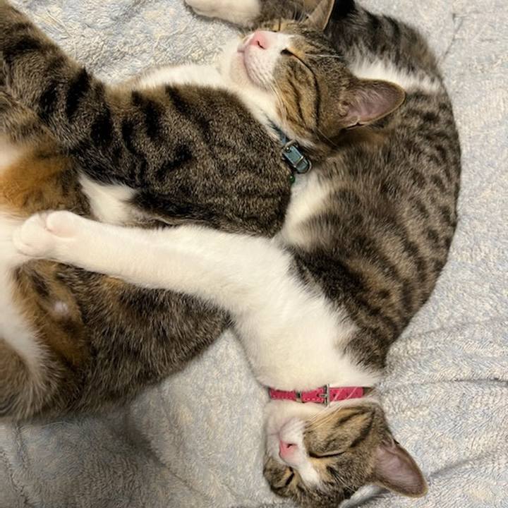 727da7e6 eb58 422a 846c ae9d63d268c2 1659795974068