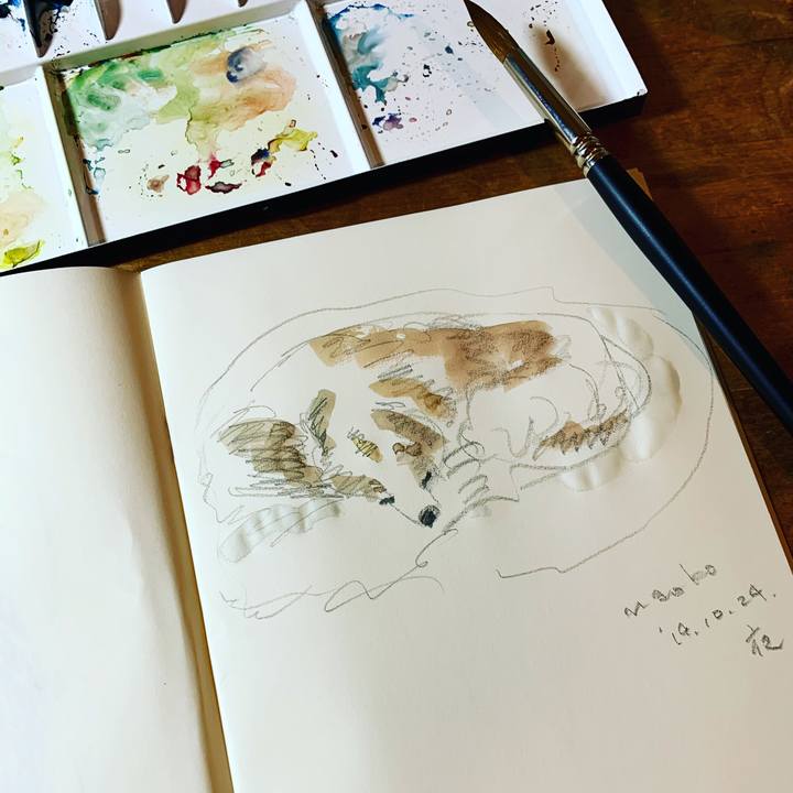 727daaaf d061 4dc2 a069 a8fceae6a556 1571913686610