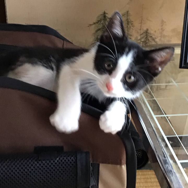 727db52b 1d88 4292 8e3f caa15a810b01 1624857345227