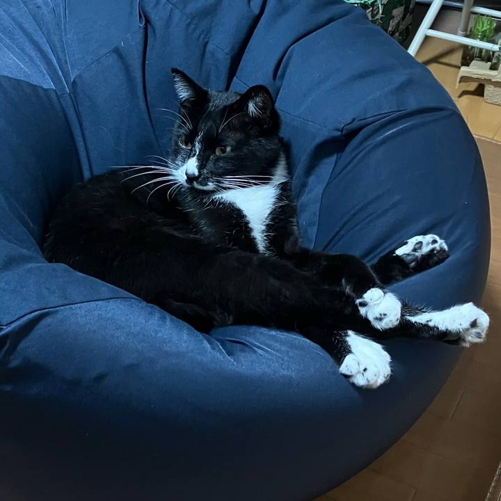 727db969 c15f 4f8e a850 23bfd5954d41 1671163889499