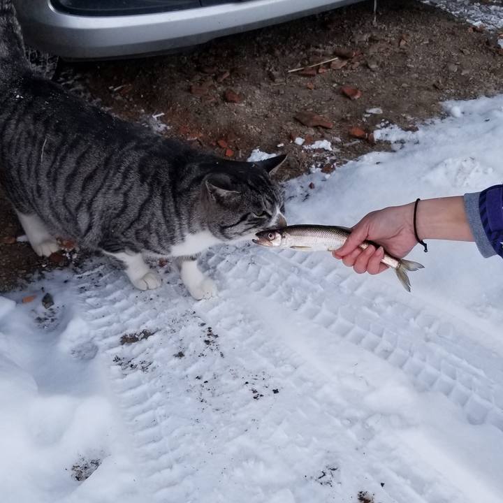 727e4d5c 20d2 47c0 8a55 317367a8ec6e 1609161033679