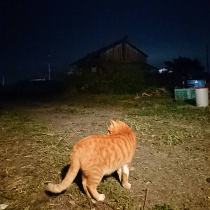 727e659b 5700 4e7e b379 a4ff1d9bcfc5 1600594660848