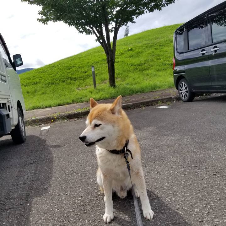 727e7b7f 8fd5 4536 9835 599013a0ad37 1594706756320