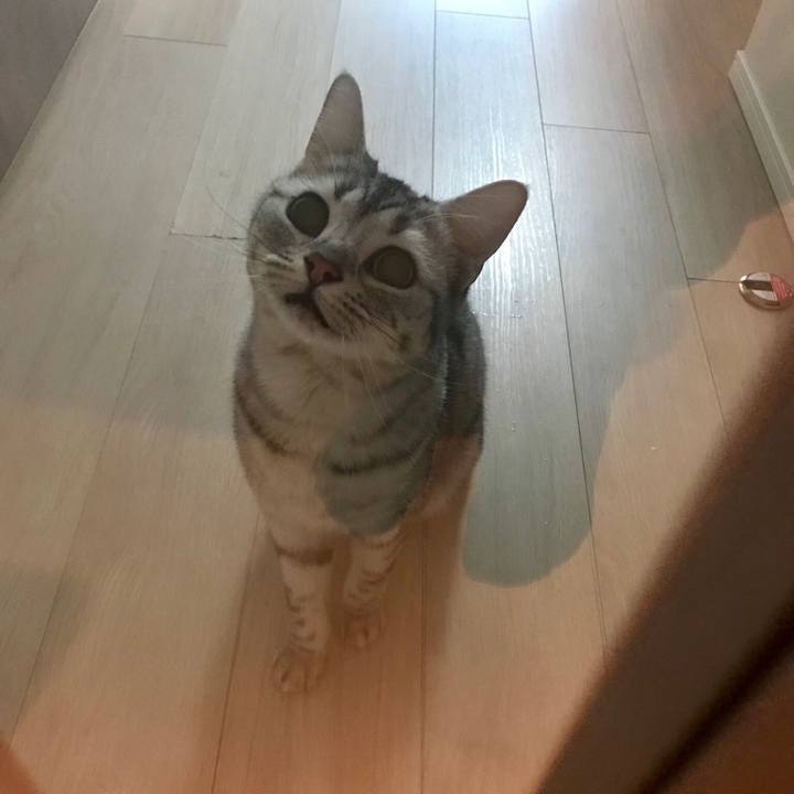 727e950d fa1b 447b a976 0952d49334ac 1517871767412