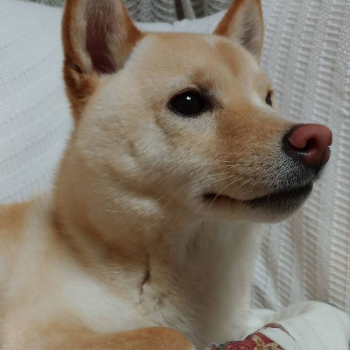 727ea1eb ea70 4d54 8ee4 fa34b35a8f37 1523968742337