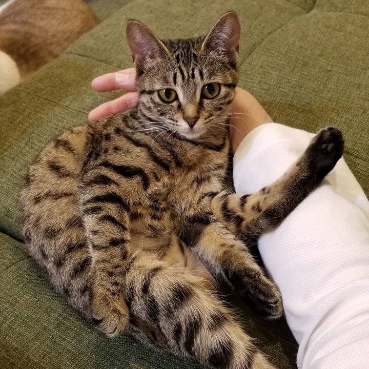 727ebba4 e508 4076 acba f47910398d05 1549987259747