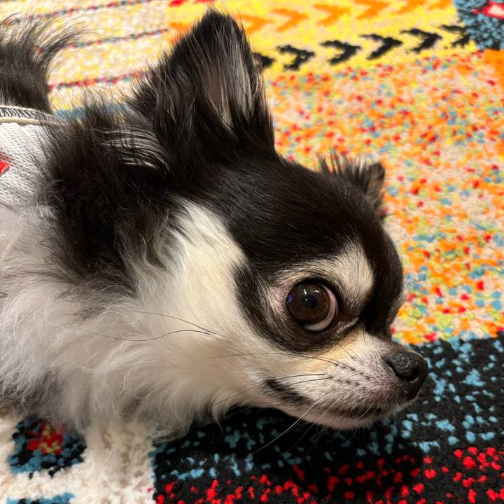 727ec9dc 4192 4a45 9b80 97851e397b1e 1720888046644