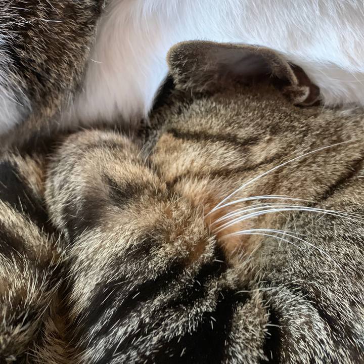 727f1d4f 52e9 4857 97b0 60f056da44fa 1555809168178