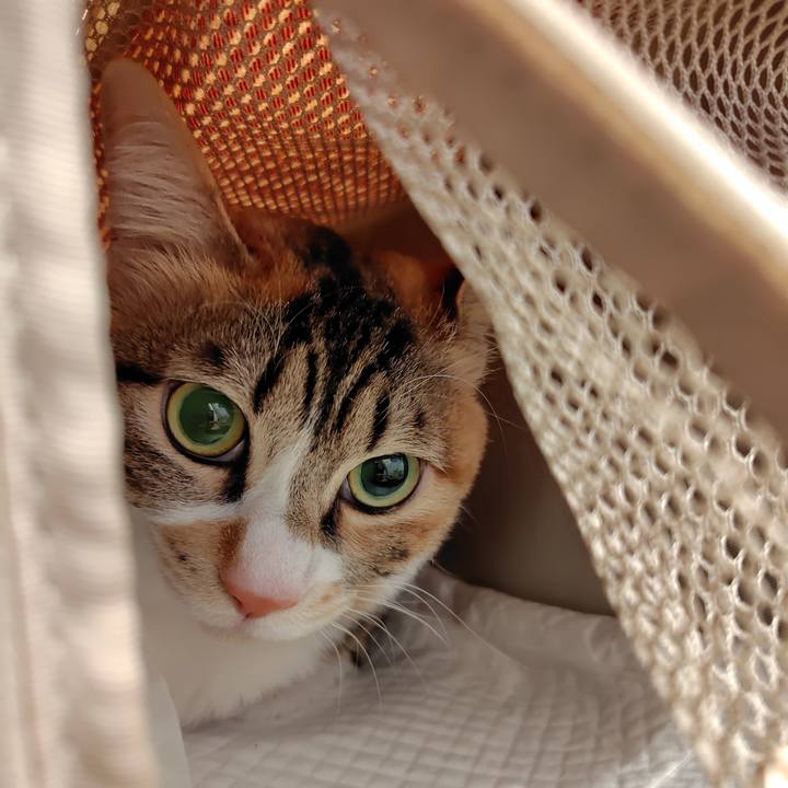 727f24e7 a76a 407c 84d8 c305c51665ba 1770081772130