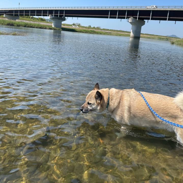 727f5283 7460 4c03 b76a 720ad7c73173 1651661662911