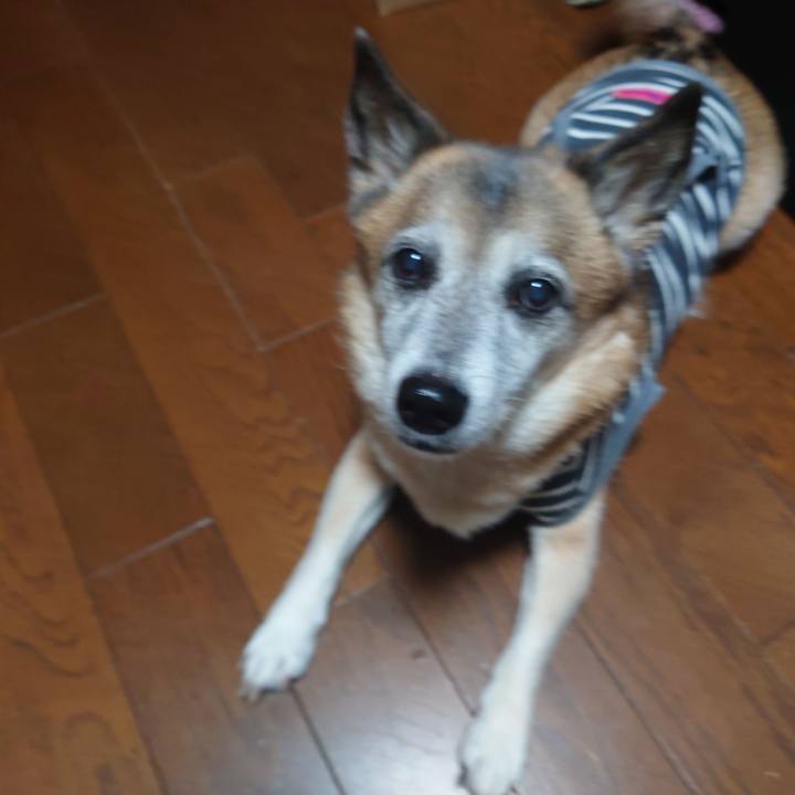 727f6eab dfb5 41de 869c e544fffcf756 1639141411977