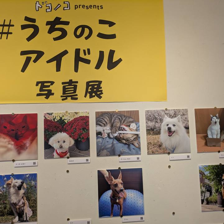 727f6fcc 7e6e 4d72 b9ee 412dcafebefb 1765091713172