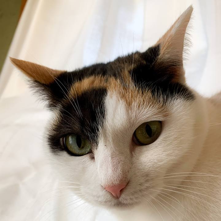 727f7283 3f09 4c64 884b 9fb6b3901aa9 1581731256894