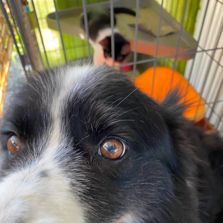 727f7b17 92ae 4deb 85c0 b408ac2ddaa1 1627437782599