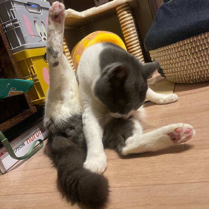 727f8ab9 335c 4242 a9ec 168207b5143e 1716826343561