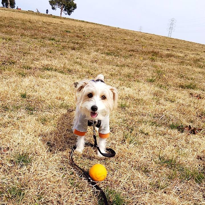 727fa2fa ddce 41c1 834d 0ad407b5adf6 1550983105386