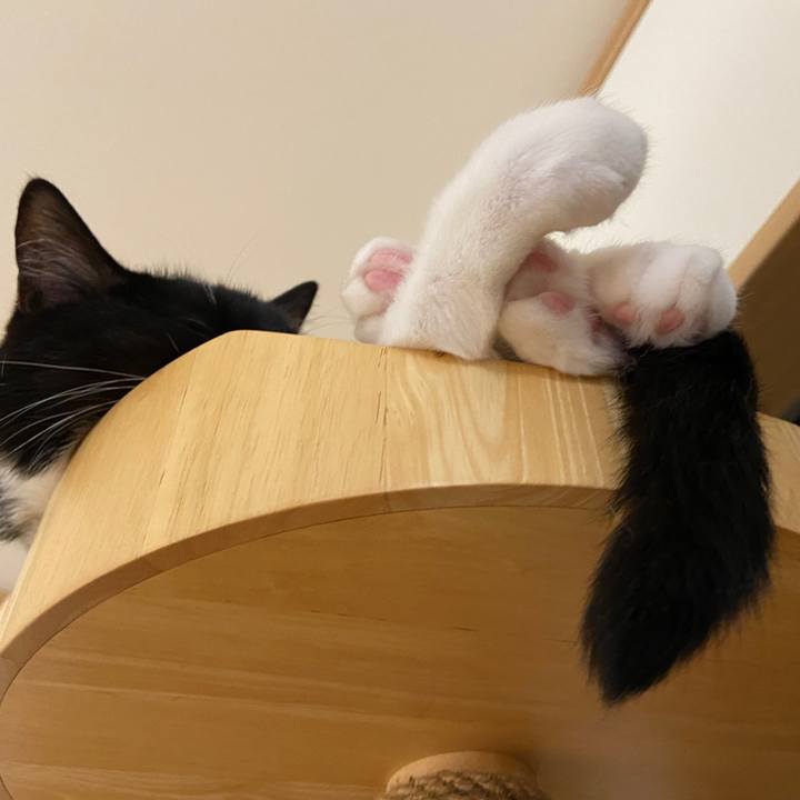 727fa9bc 7959 435c adb9 e15c940bb865 1659747625447