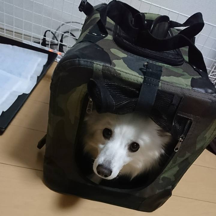 727fc07a 5ae7 421e af98 da780890e453 1518099602645