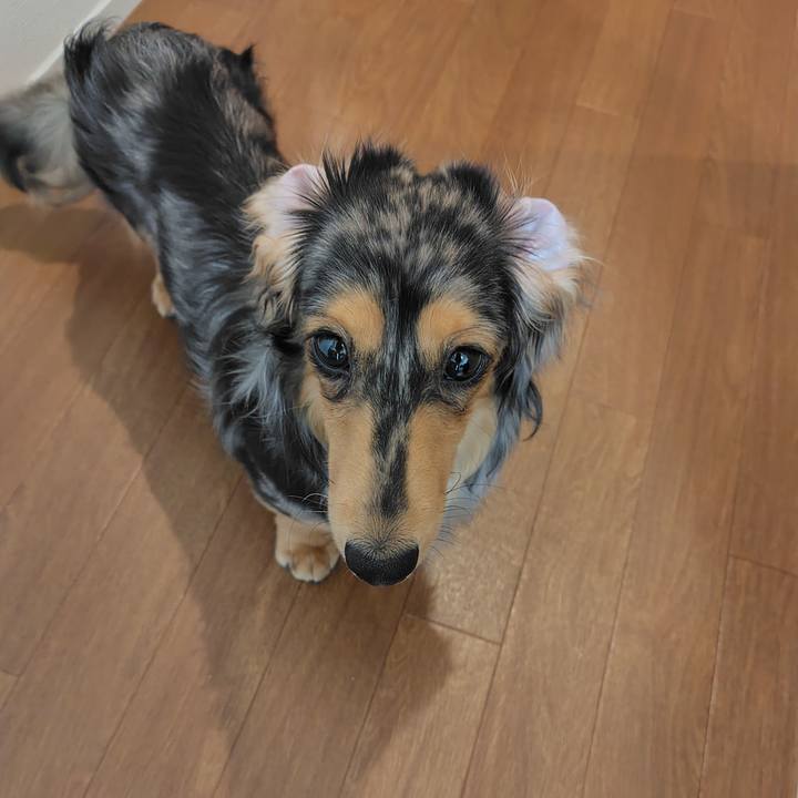 727fd8b9 39fc 4dca af0d b6b06b1ac623 1712365622269