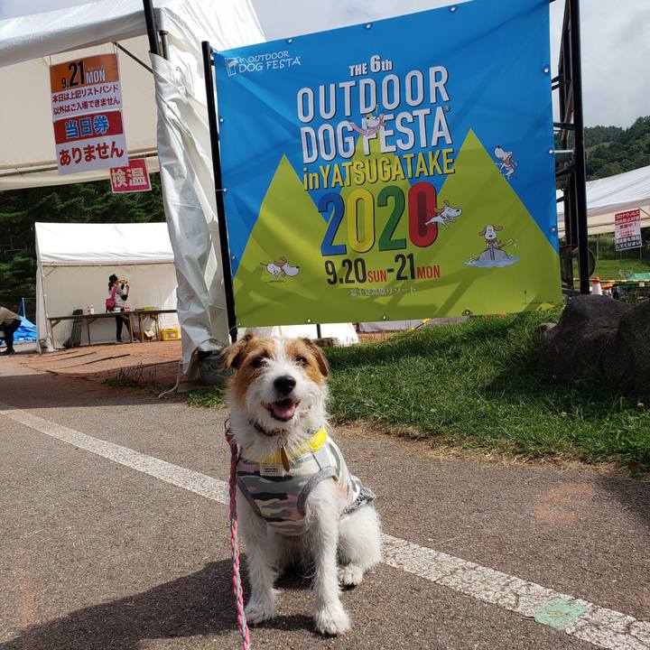 728001ba ef37 4137 8dfa 9494be68b6aa 1600649968197