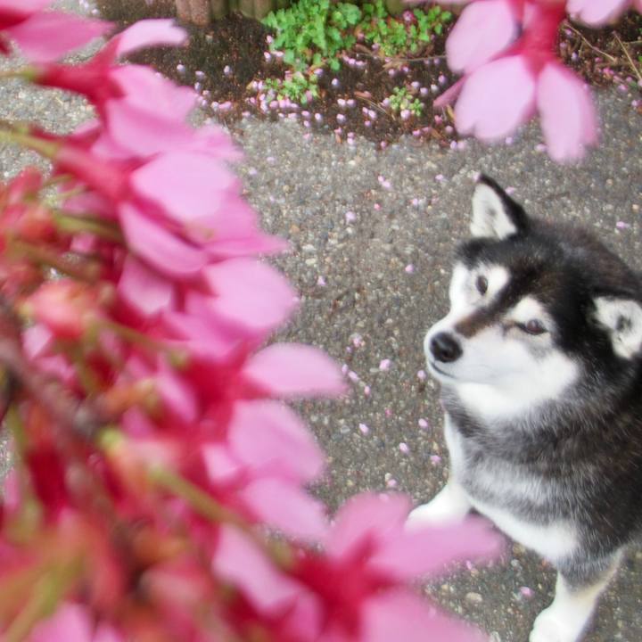 72801047 228a 41fa 8370 8bc3c21391ac 1679716586992