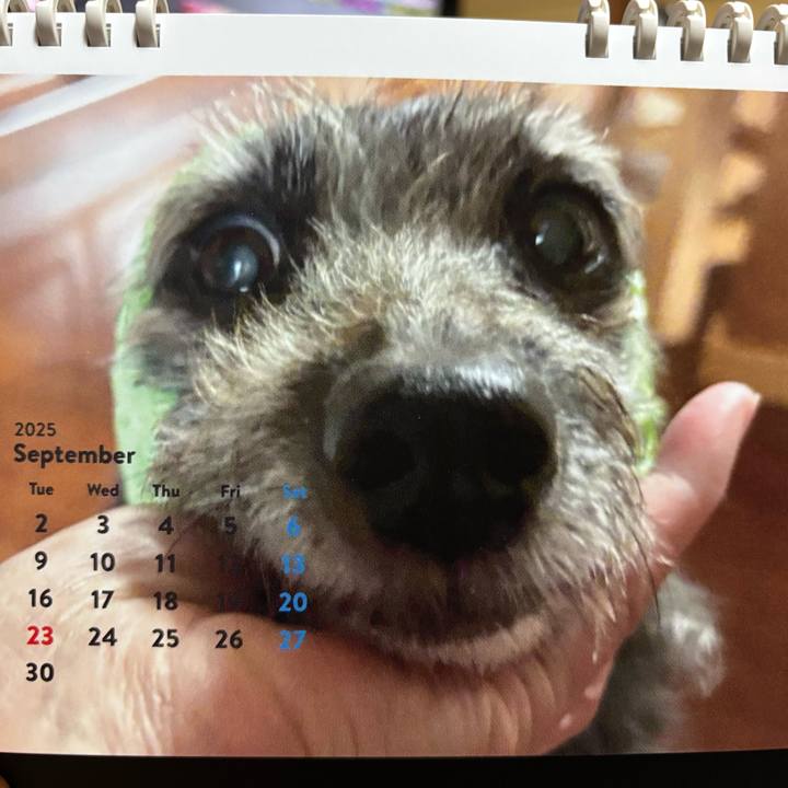 728013ba d23a 43a2 8b6e fe2837f25353 1757027186489