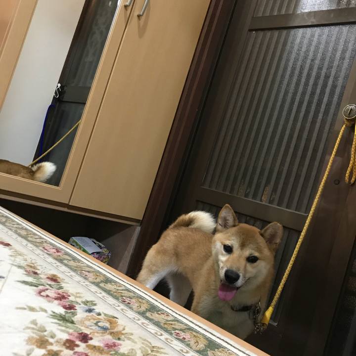 728017d5 1970 4c40 aa94 80a09f97970c 1534210531194