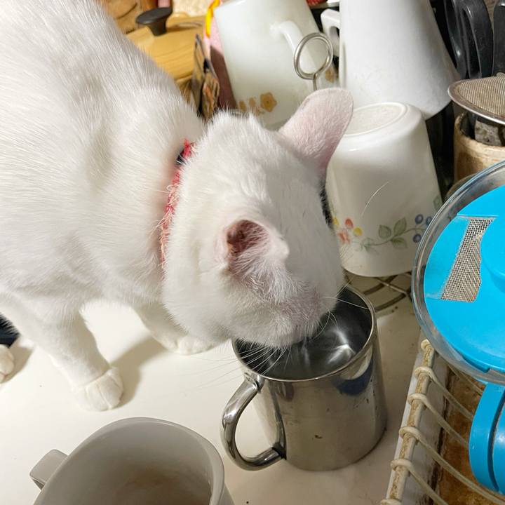 7280667a d634 44a7 8067 beab26eb6609 1771541434074