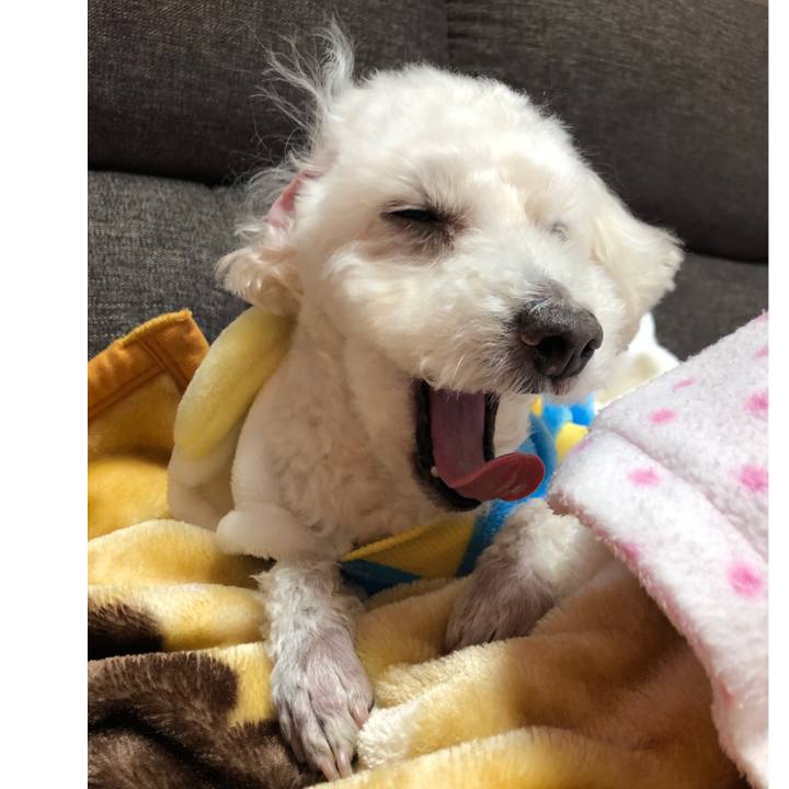 72809354 a107 4109 b4f3 f96a73a178d1 1552739803947