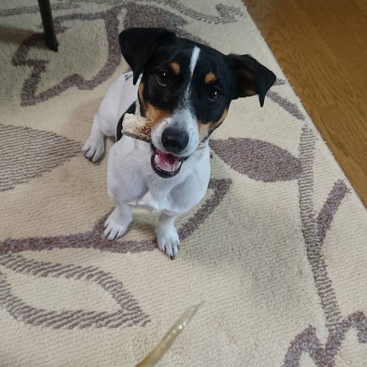 7280a8cf f1b9 4528 8c29 b7b243a4e8eb 1550218037575