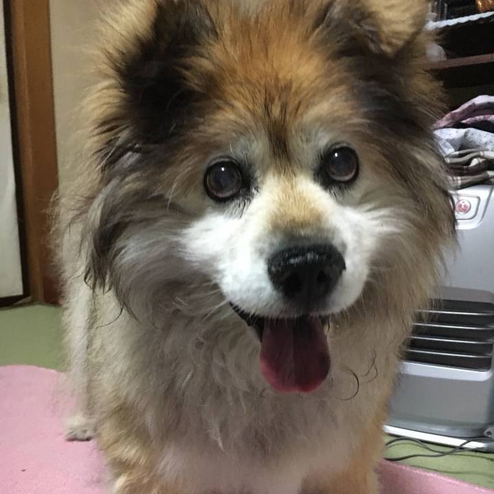 7280aaa6 6395 4962 af34 72fcc8a71fba 1578988312636