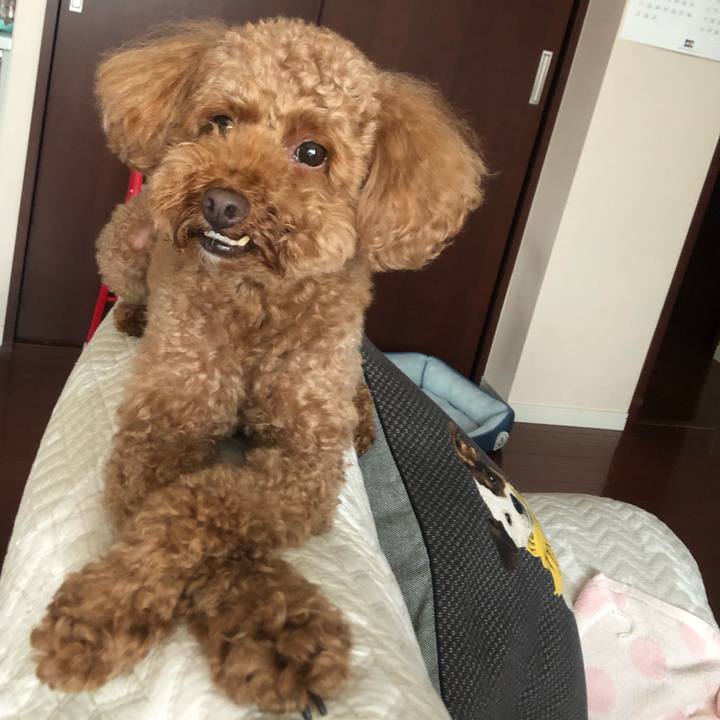 7280f61d 4771 48c9 8edc 6bcbe96cb676 1535012728787