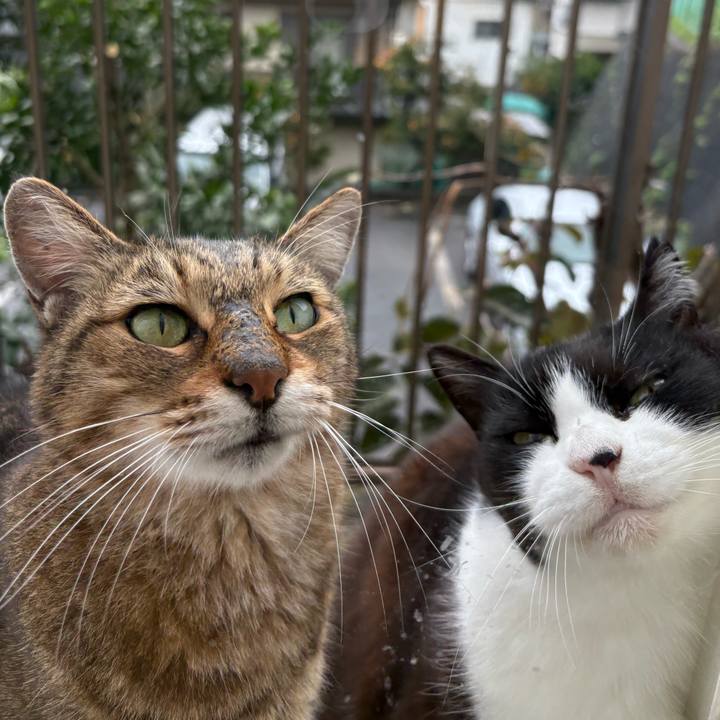 7280fafe fd32 4976 929a 0b051e24768f 1762662290948