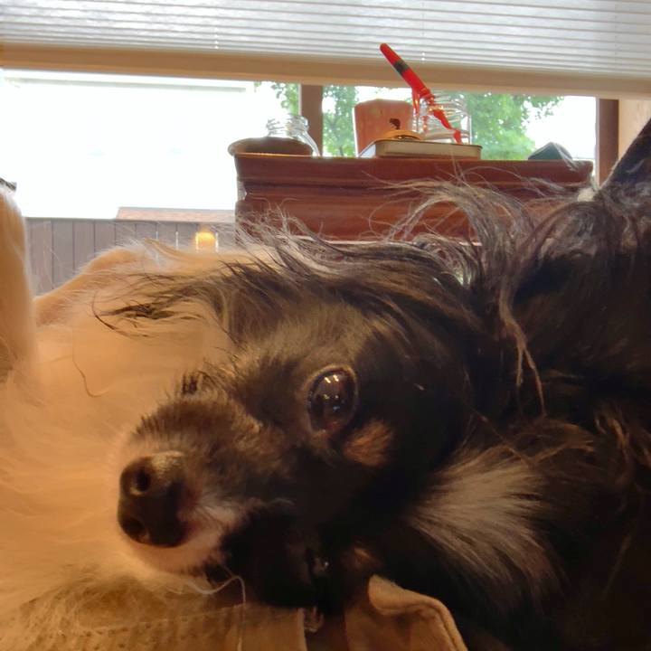 72811075 5568 4ce4 bc88 27775de07652 1562886422297