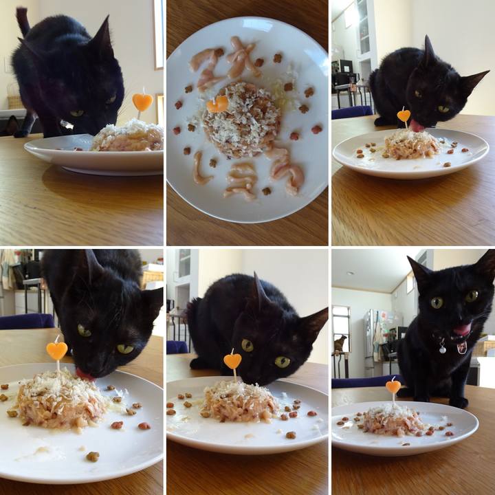 72813e81 0899 427b 9eae ffa981d0996a 1524992092293