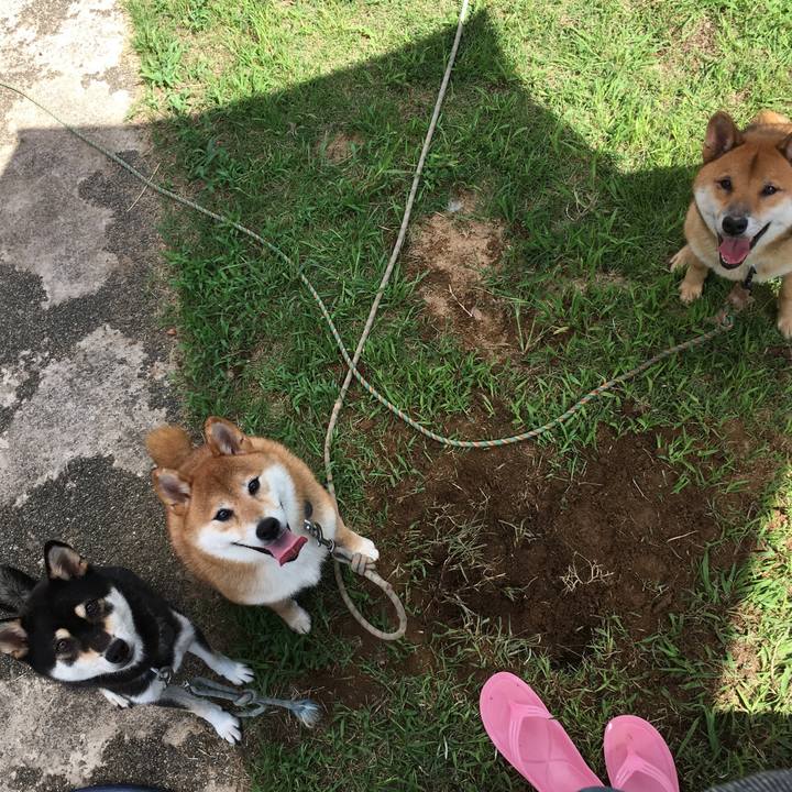 72813f2b 1886 4caf a95c 201a01da575f 1568452754139