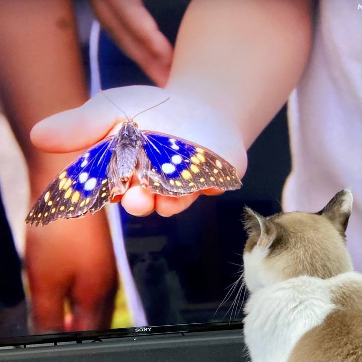 72818a3b 2710 47a5 8df5 f737486e0cdc 1666518566365